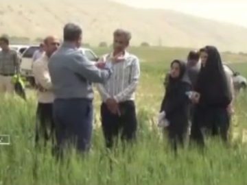 محققان، بهره برداران و کشاورزان پیشروی شهرستان بدره برگزار شد.