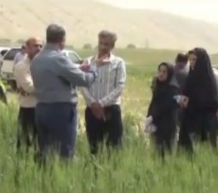 محققان، بهره برداران و کشاورزان پیشروی شهرستان بدره برگزار شد.