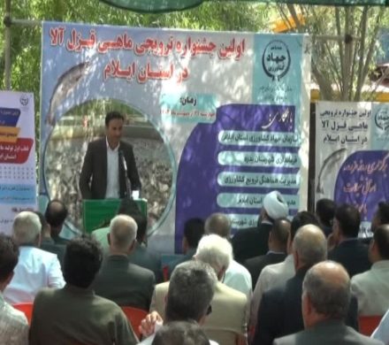 جشنواره ماهی قزل‌آلا در روستای کلم شهرستان بدره